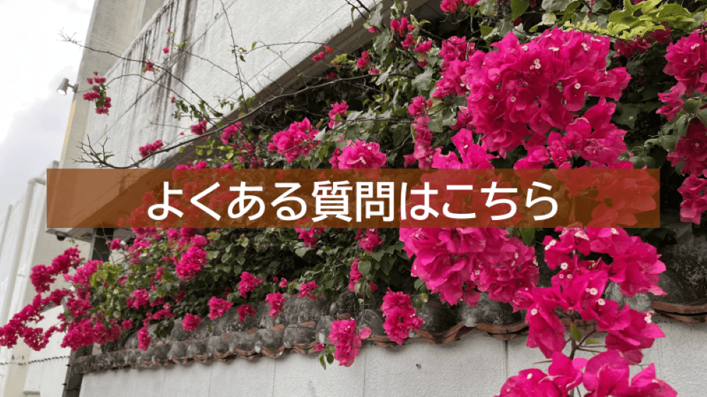 ブーゲンビリア